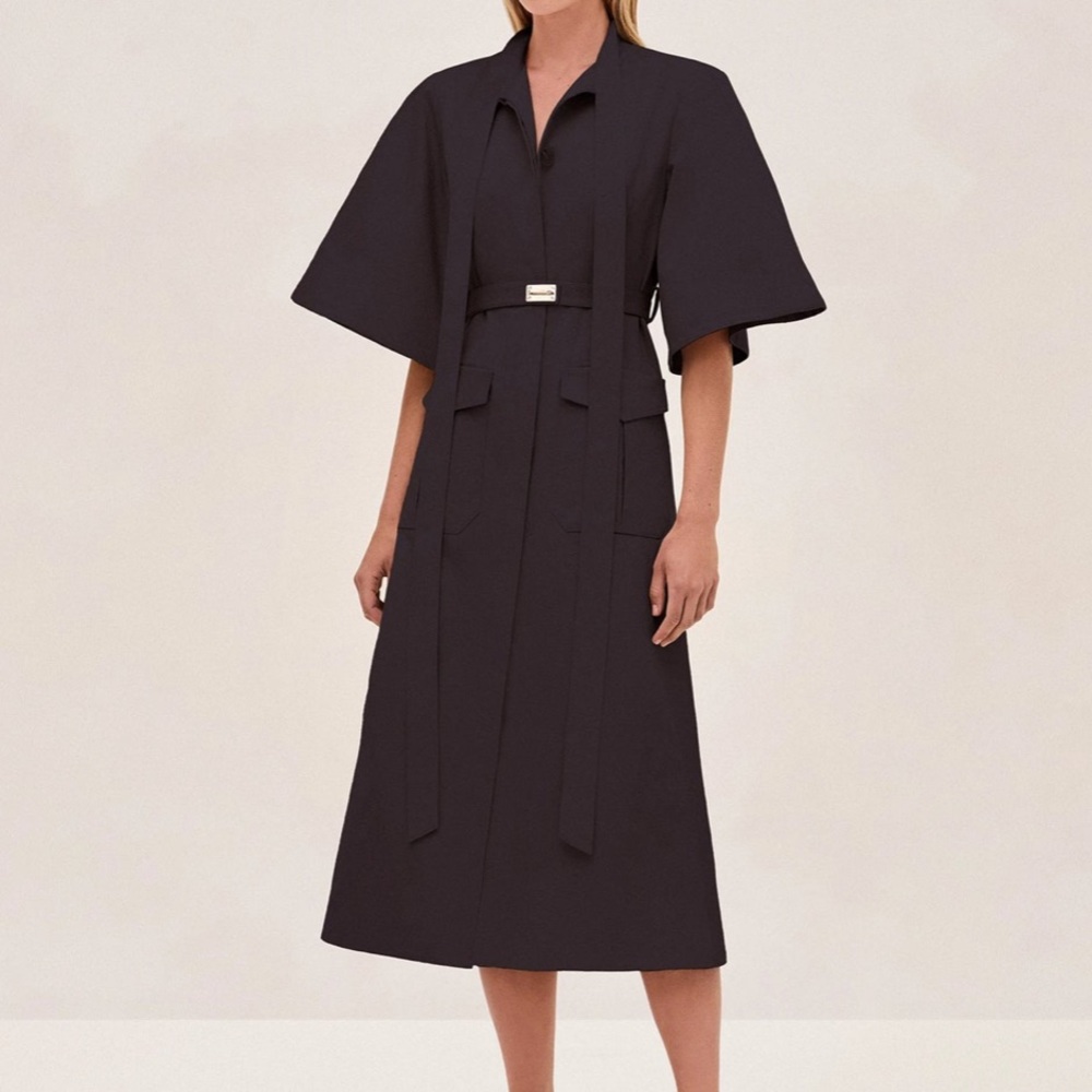 NWT ALEXIS ILLARDI DRESS
